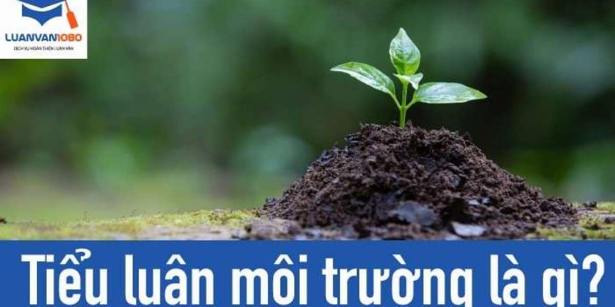 Tiểu Luận Về Môi Trường Học Đường Xanh – Sạch – Đẹp