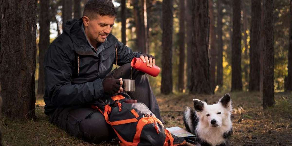Helping Your Dog Stay Safe While Enjoying the Outdoors