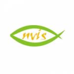 Nvis Technologies