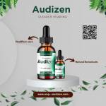 Audizen Official