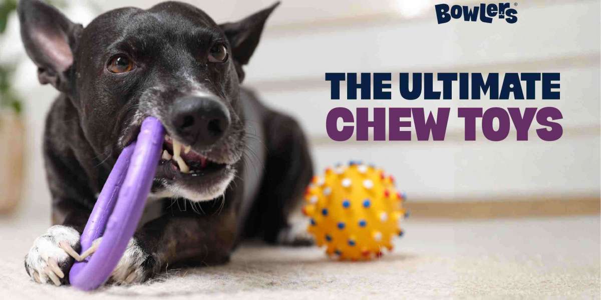 Durable Chew Toys to Keep Dogs Busy