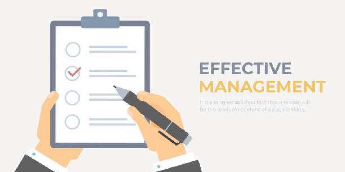 Effective Management Dissertation Writing Guide