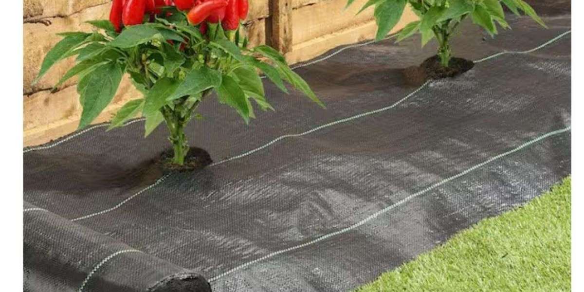 Bunnings Weed Mat Guide for Effective Weed Control