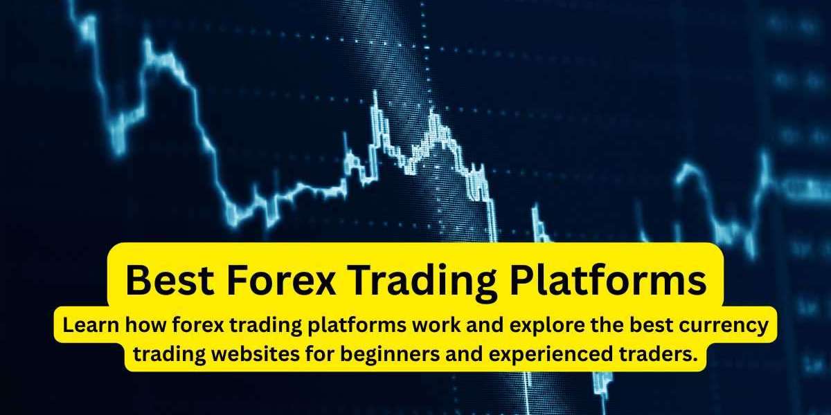 Understanding Forex Trading Platforms: A Beginner’s Guide to Currency Trading Websites