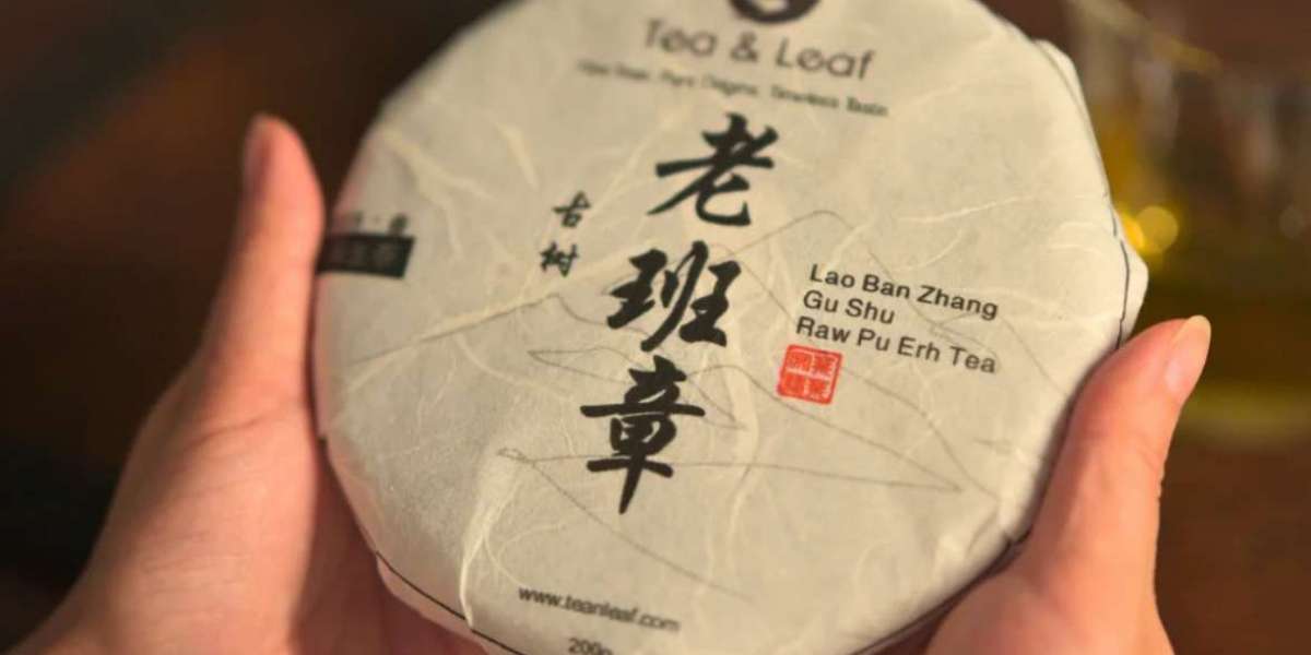 Time in a Cup: The Magic of Pu Erh Tea Aged to Perfection