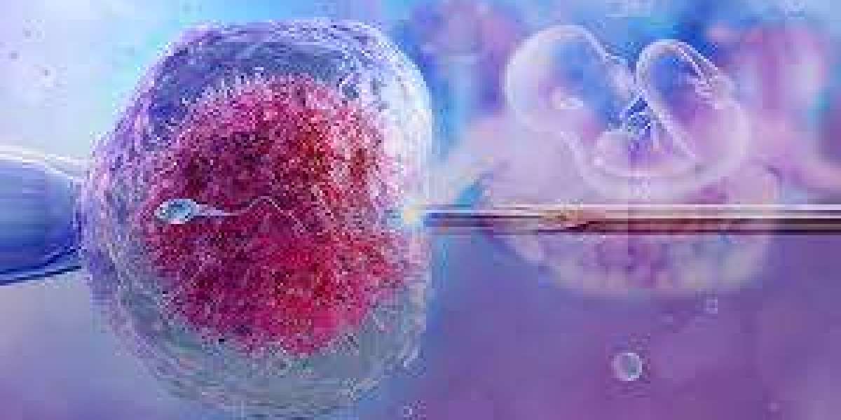 How Your Thyroid Affects Fertility and What to Do Before Treatment