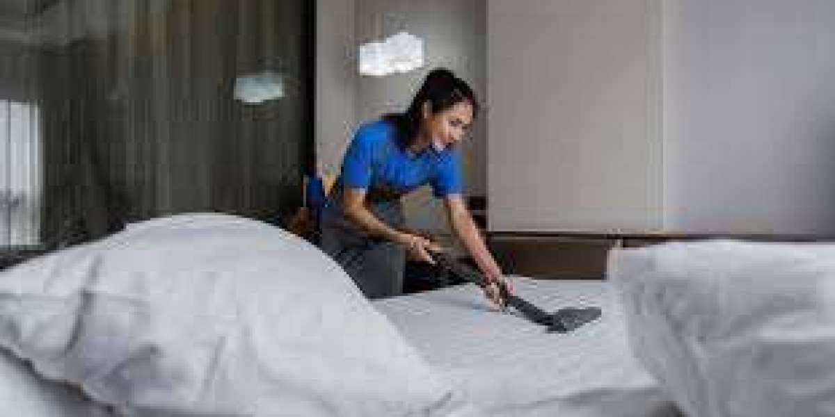 Professional Carpet Care Made Easy for Every Home