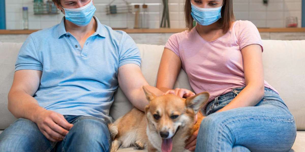 Simparica Trio Without Vet Prescription