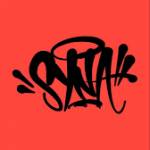 Syna World