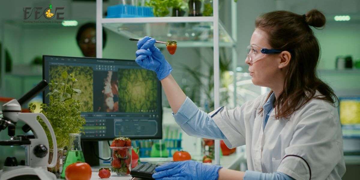 Food Consultants: Driving Food Industry Innovation
