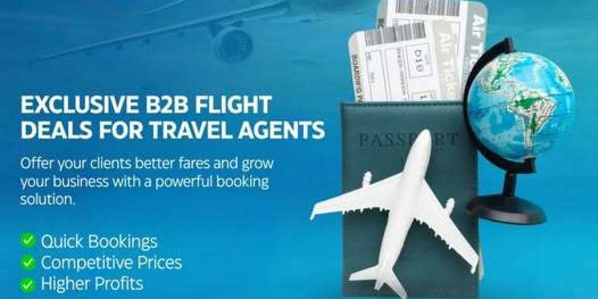 Boost Your Travel Business with a B2B White Label Travel Portal – Fly24hrs