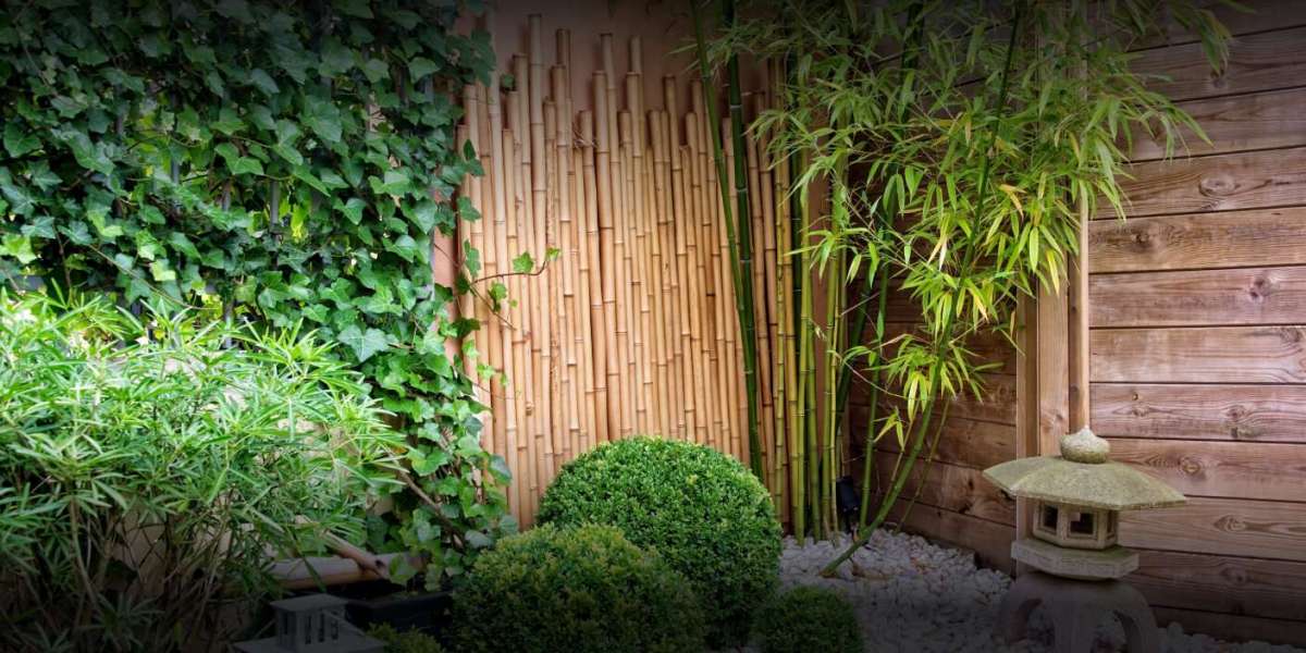 7 Reasons Gardeners Prefer Natural Bamboo Stakes