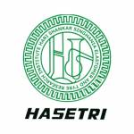 Hasetri Tyres