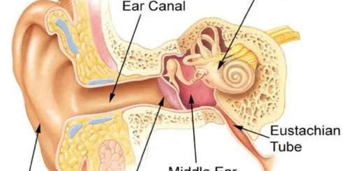 What Is Impedance Audiometry? A Complete Guide to Middle Ear Testing