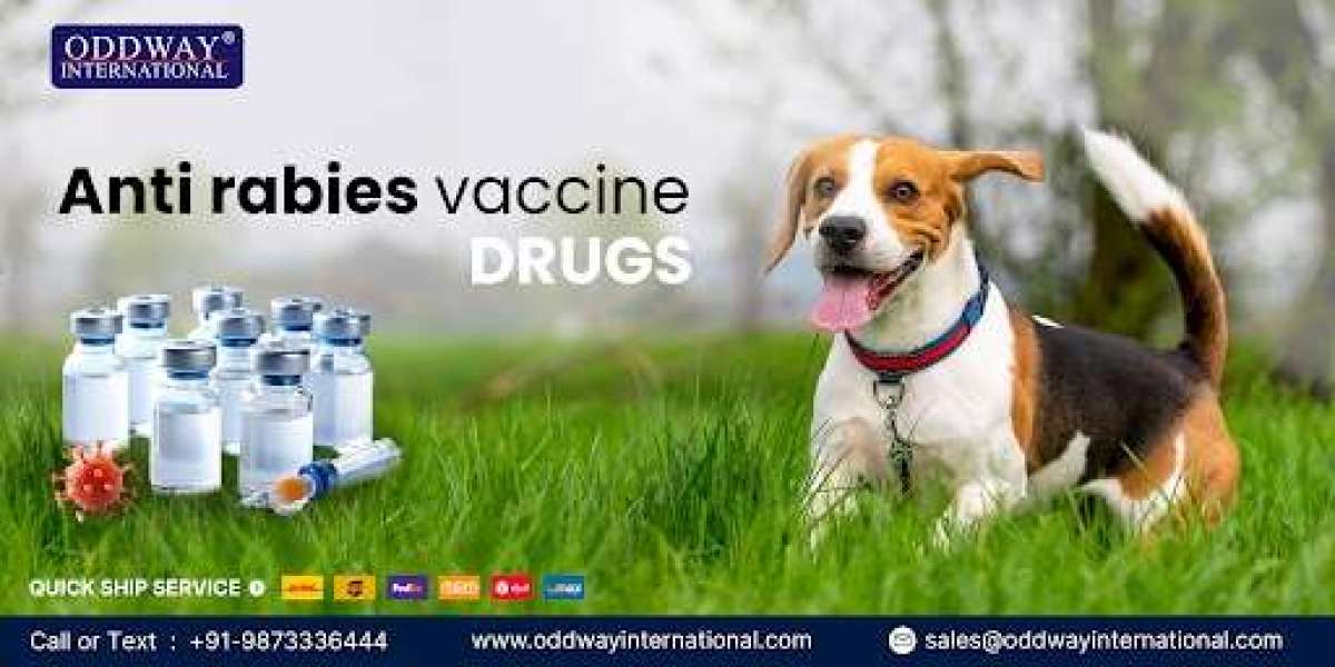 Anti Rabies Vaccine Philippines | Reliable Injection Supply - Oddway