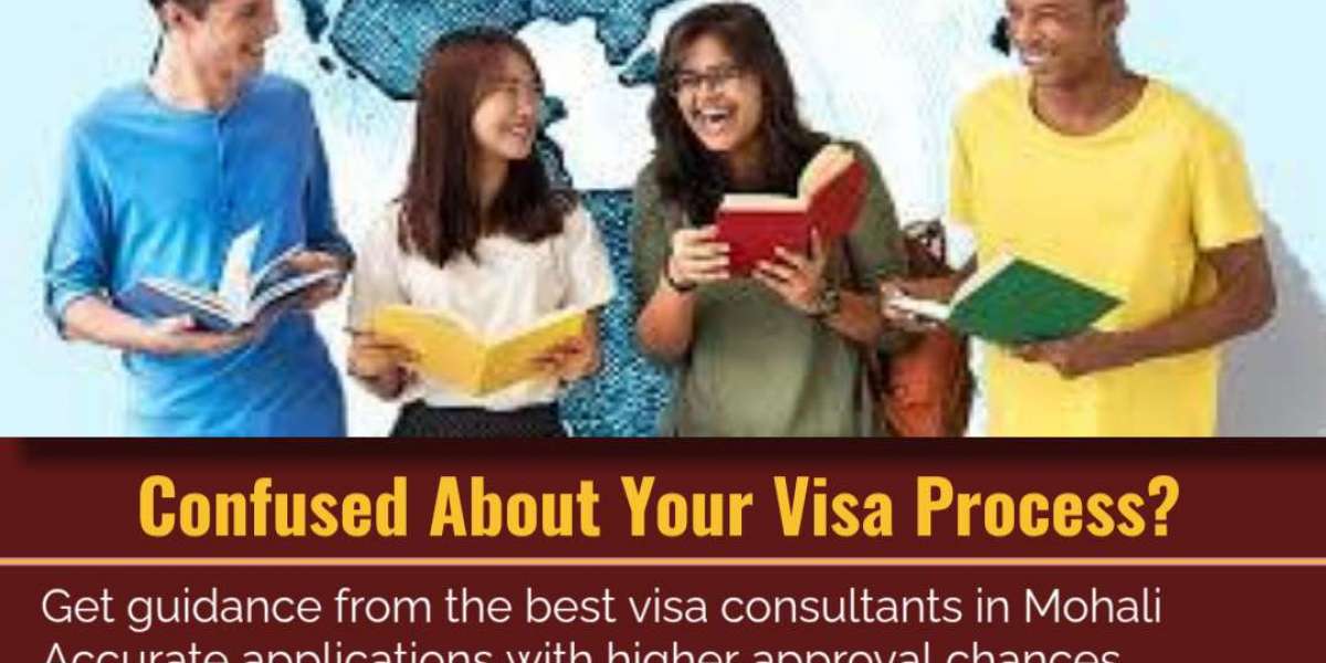 Your Guide to the Best Visa Consultants in Mohali