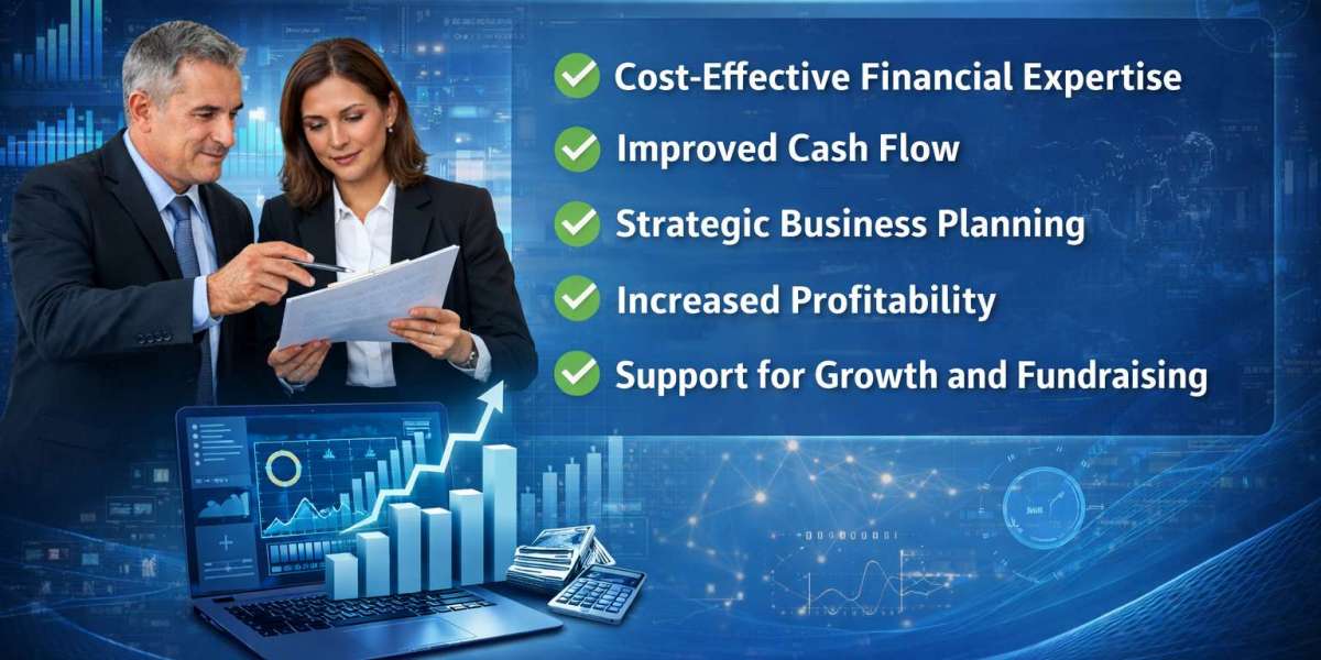 Virtual CFO Services for Small Businesses: Boost Cash Flow and Profitability 