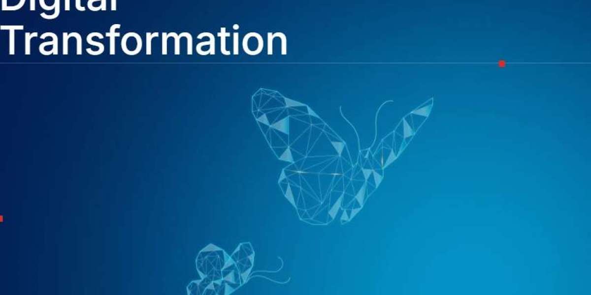 How Digital Transformation Drives Enterprise ROI
