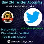 Buy Twitter Accounts