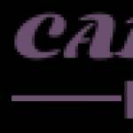 Carpet Pro