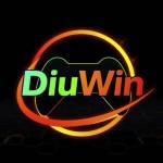 Diuwingame30
