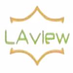 Laview Camera