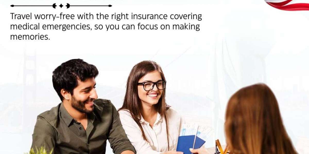 Travel Agent Insurance Portal – Simplify Insurance Solutions with The Visa Monster
