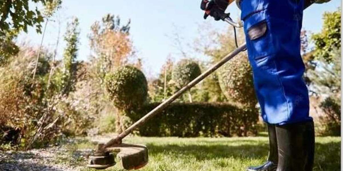 Professional Garden Clean Up Services for a Beautiful Outdoor Space