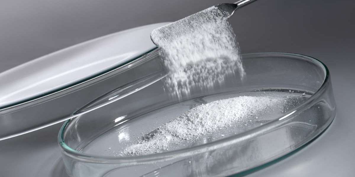 Pharmaceutical Grade Sodium Carbonate Market Research Report 2025