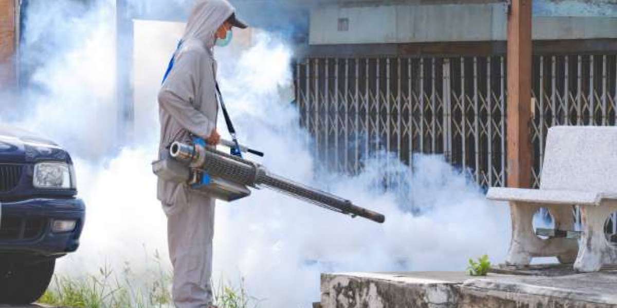 Two Invaders: Tackling Cockroaches and Termites at Home