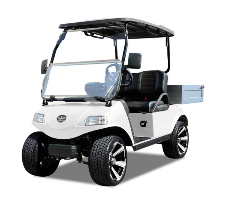 2 Seater Golf Cart | 808 Golf Carts