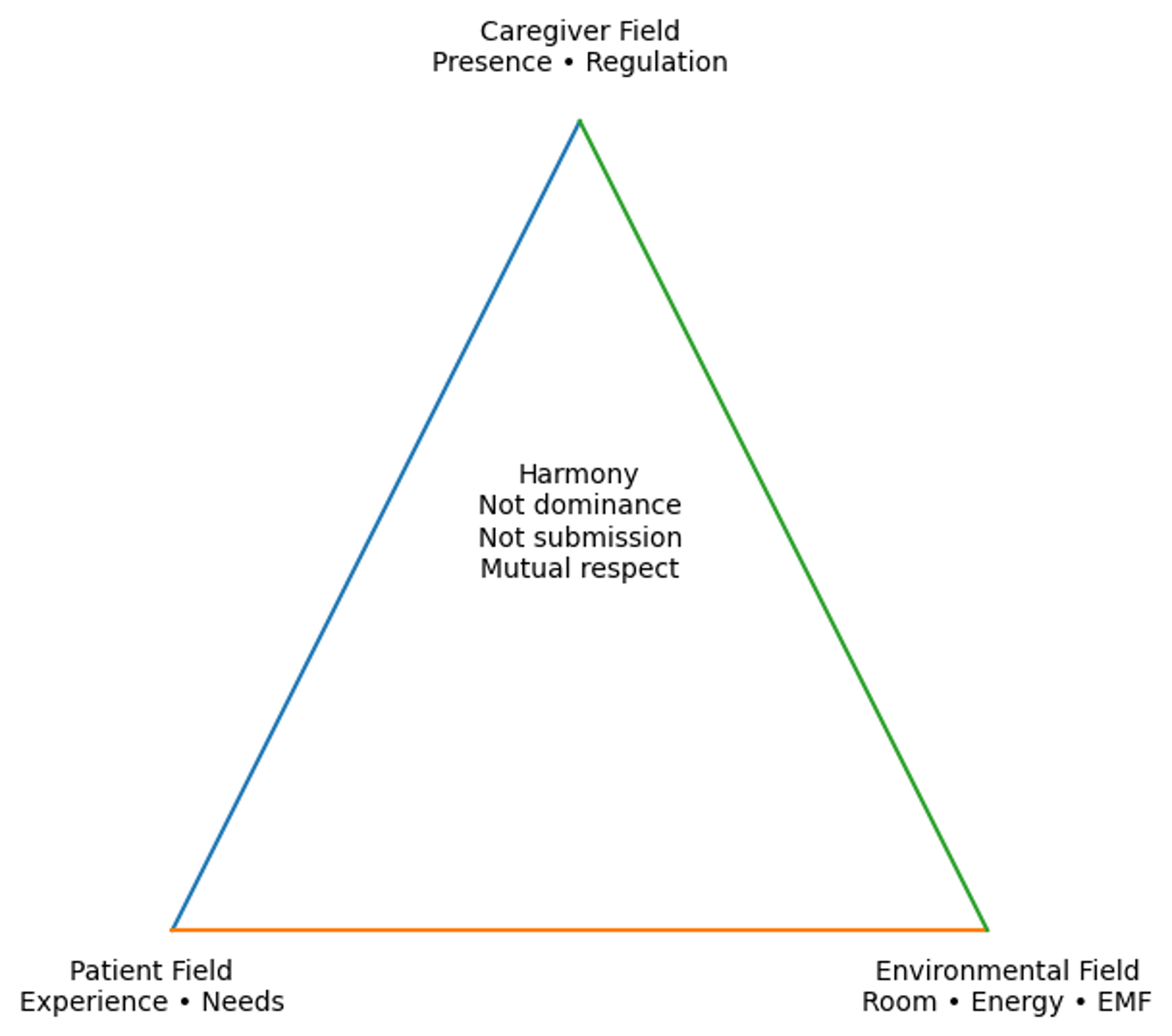 Intergrated Perspective Caregiver Training and Healthcare Leadership Consulting | SteadyCare Integrative