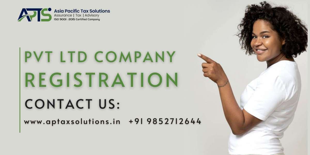 How Startups Benefit from Pvt Ltd Company Delhi