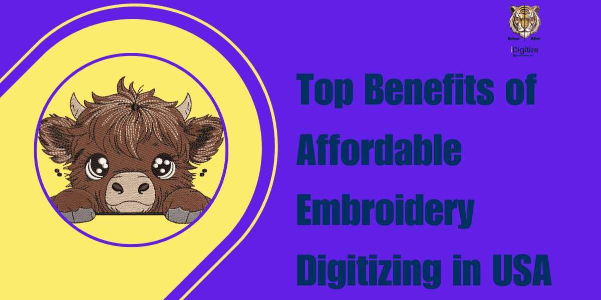 Top Benefits of Affordable Embroidery Digitizing in USA