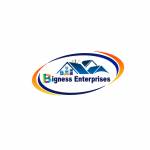 Bigness Enterprises