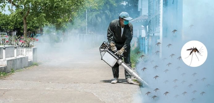 Best Pest Control Services in Jaipur: Protect Your Home and Business from Pests - Payhip