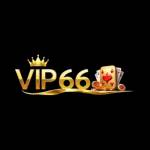 vip66 bio