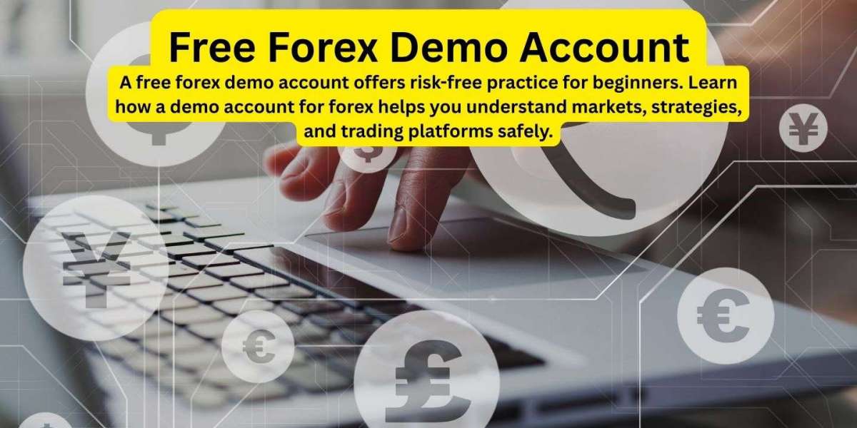 Why Every Beginner Trader Should Start With a Free Forex Demo Account