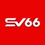 ssv66innet