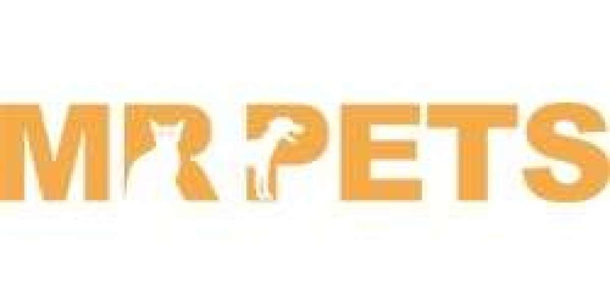 Professional Dog Grooming Abu Dhabi – Trusted Pet Care by Mr Pets