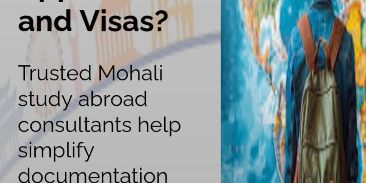 Mohali Study Abroad Consultants for International Education