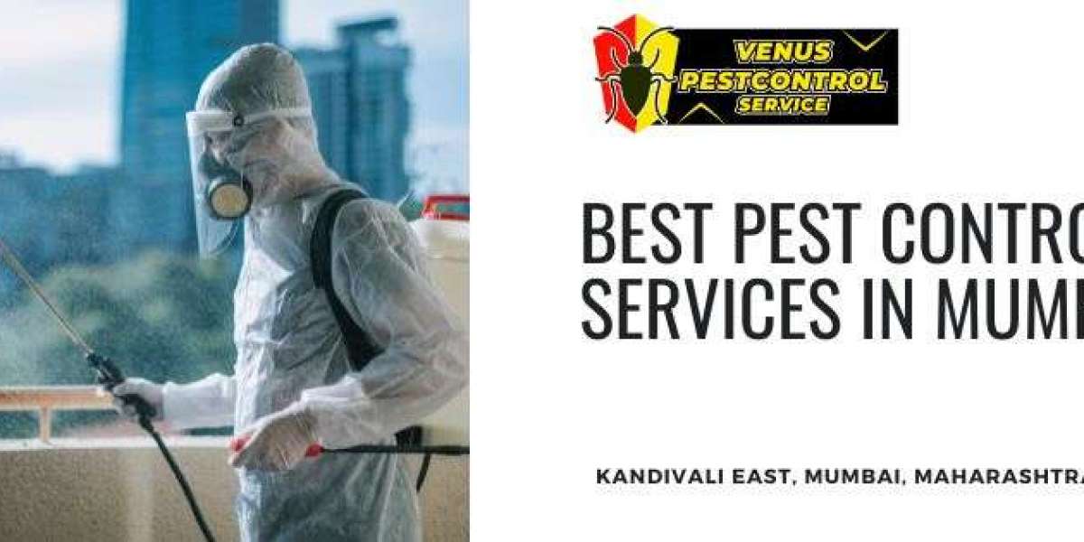 Top Benefits of Professional Pest Control in Borivali