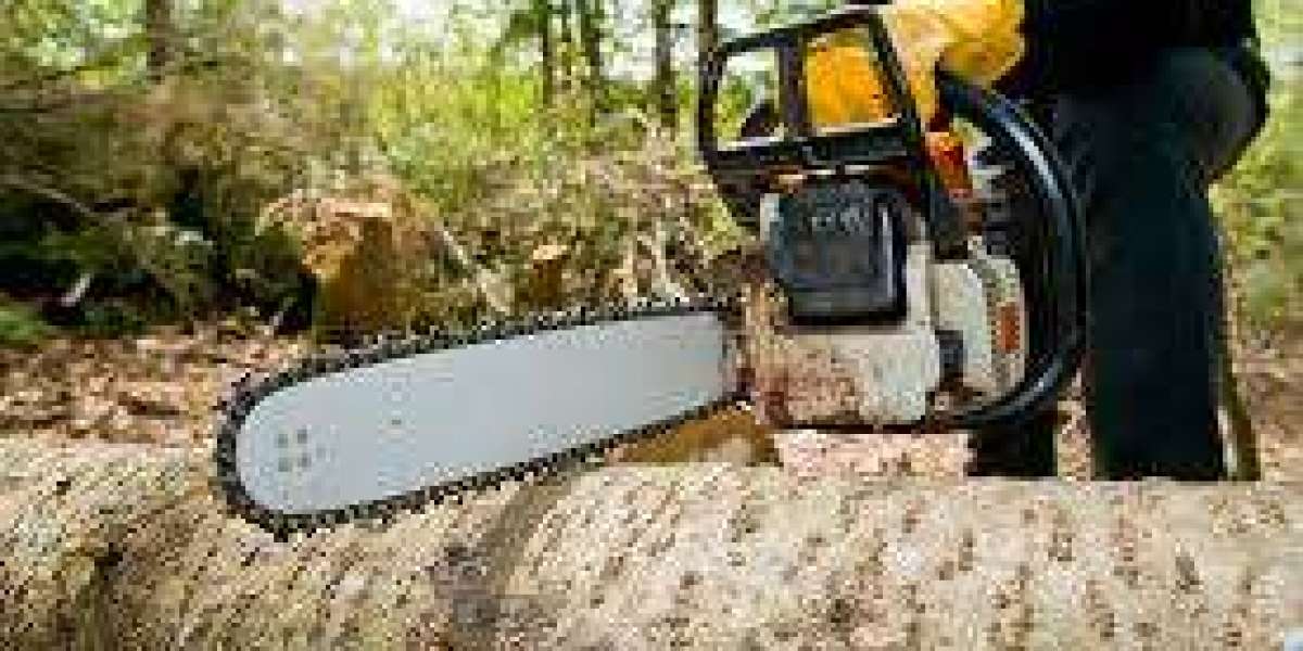How Much Does a Tree Removal Company Cost? Pricing Factors Explained