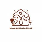 NoKa and AuroraStone