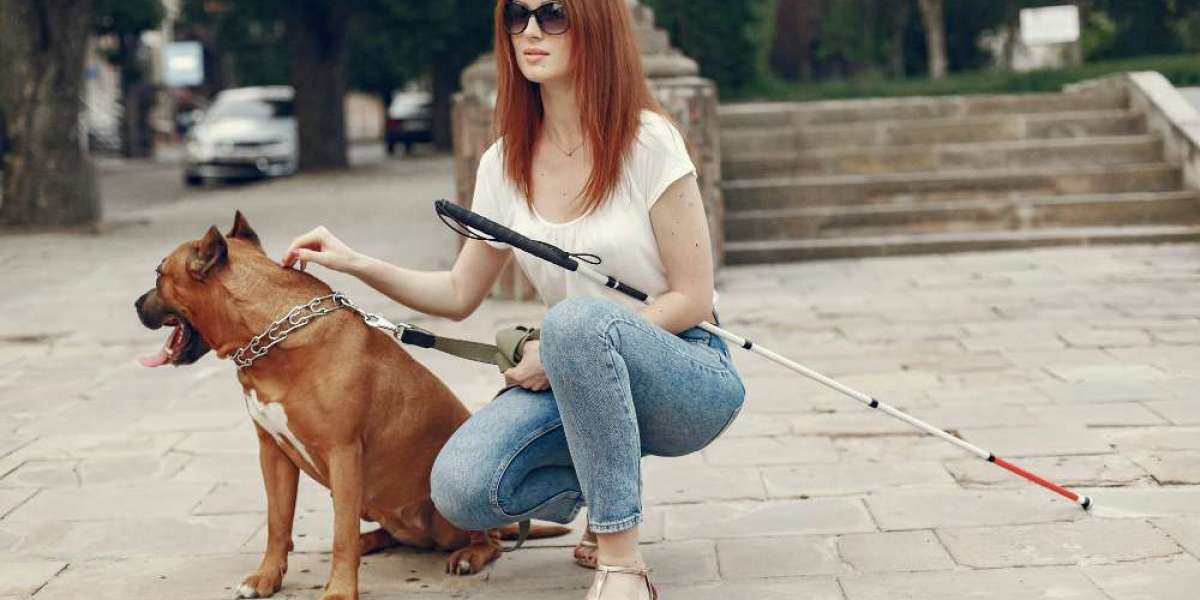 Flirt Pole Dog Workouts: Boost Physical and Mental Stimulation