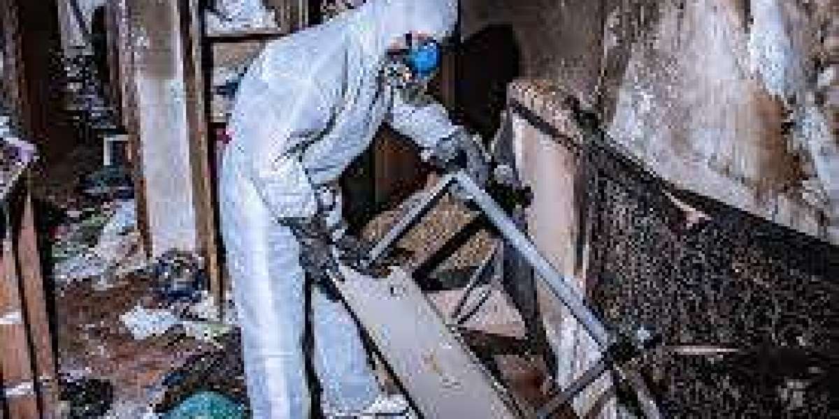Water Damage Restoration Company: Trusted Experts for Fast Recovery