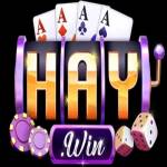 Haywin