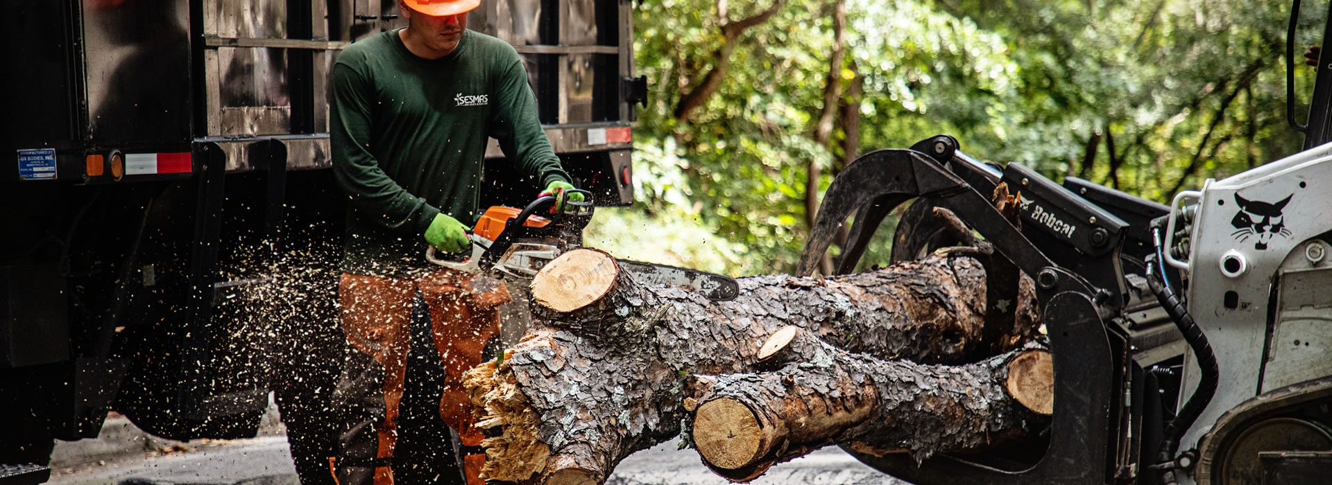 Trusted Tree Removal Service in Cumming, GA | Sesmas Tree Service