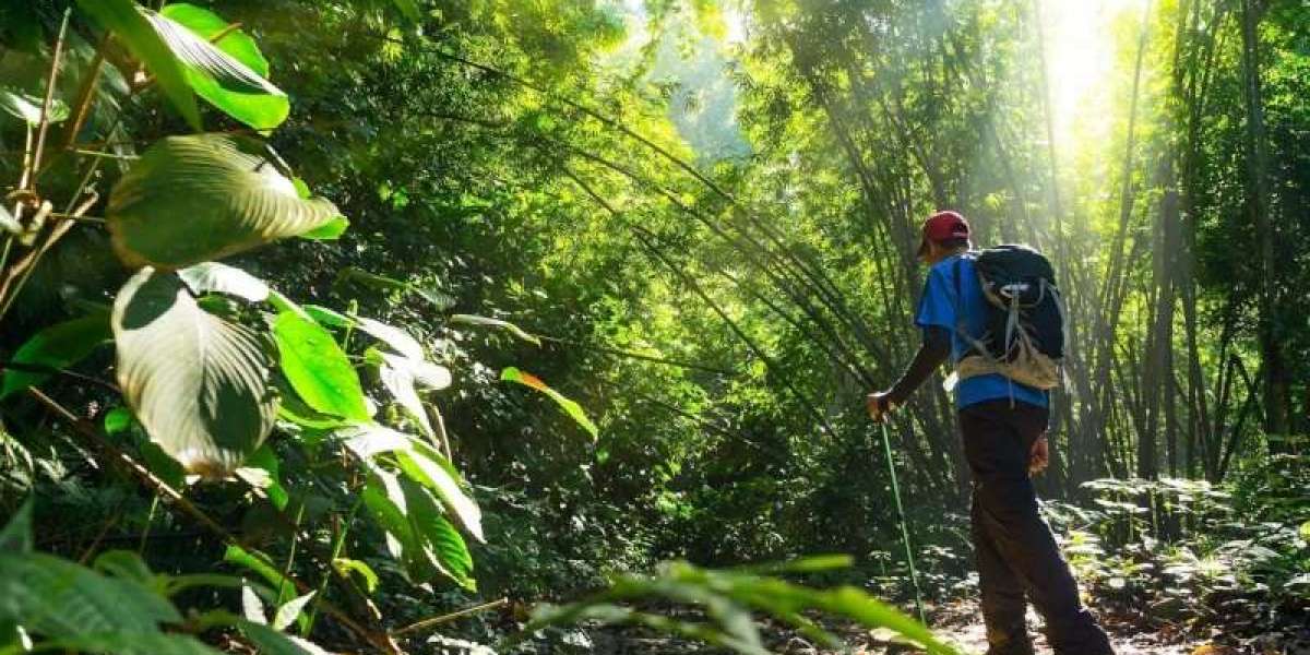 Explore the Best Manu National Park Tour Itinerary