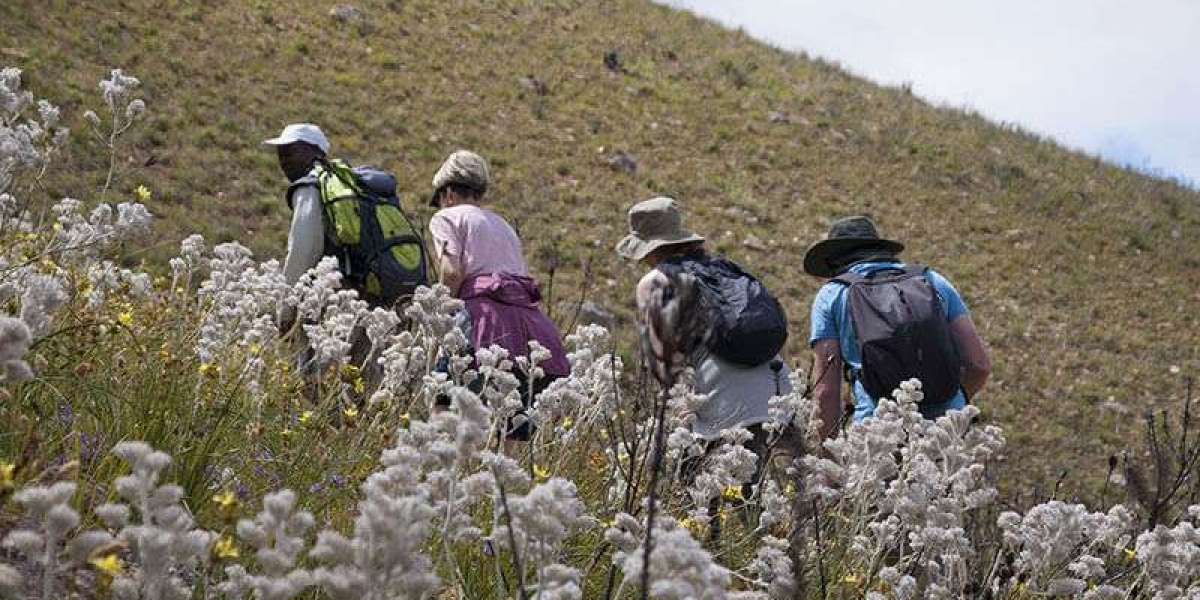 Green Mountain Guide to Exploring South Africa From Elgin to Slackpacking Adventures for Global Travellers